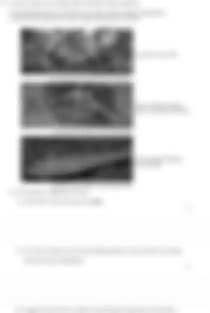 Blurred preview of the question