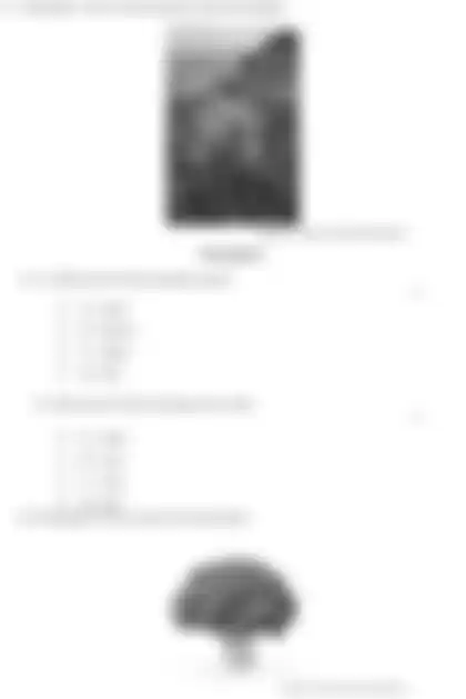 Blurred preview of the question