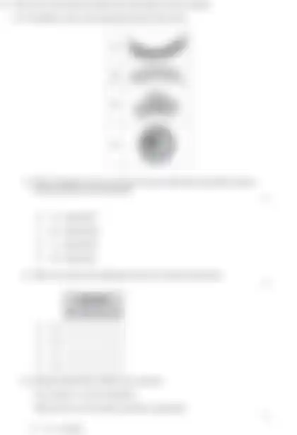 Blurred preview of the question