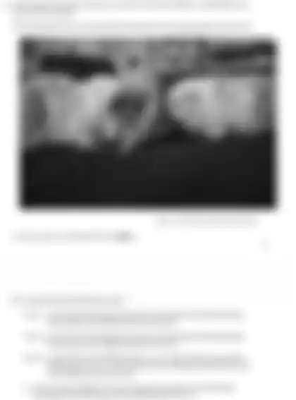 Blurred preview of the question