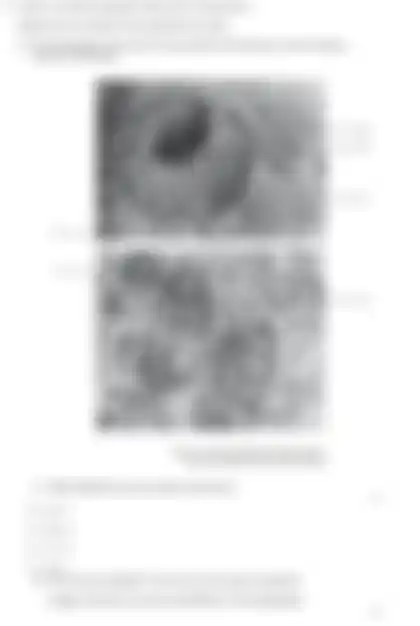 Blurred preview of the question