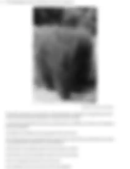 Blurred preview of the question