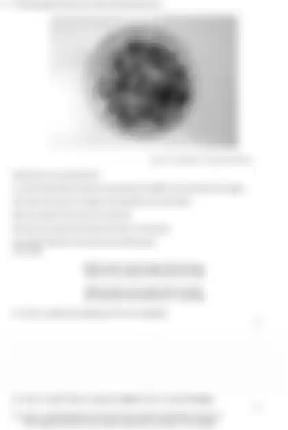 Blurred preview of the question
