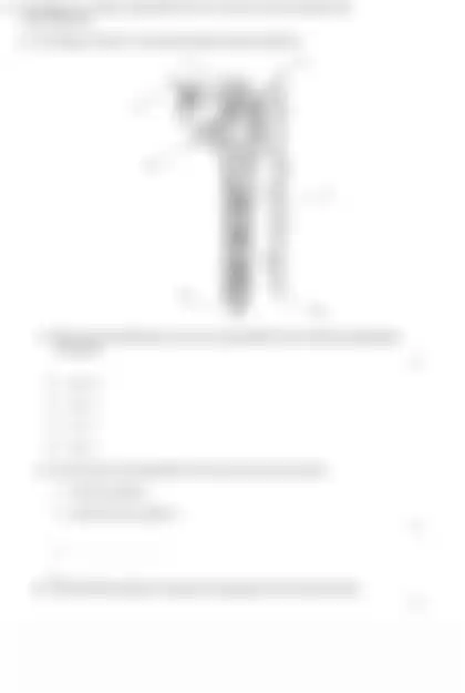 Blurred preview of the question