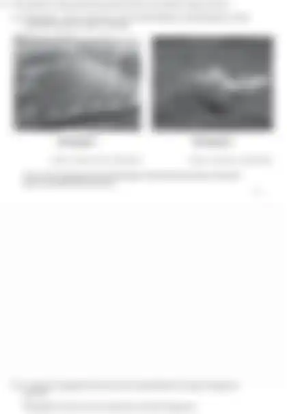 Blurred preview of the question