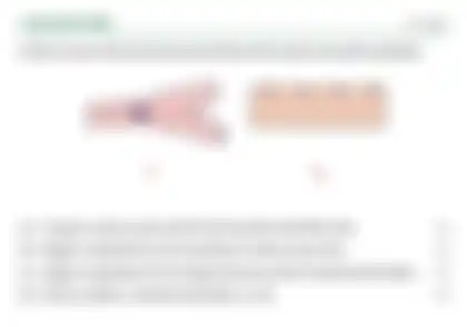 Blurred preview of the question