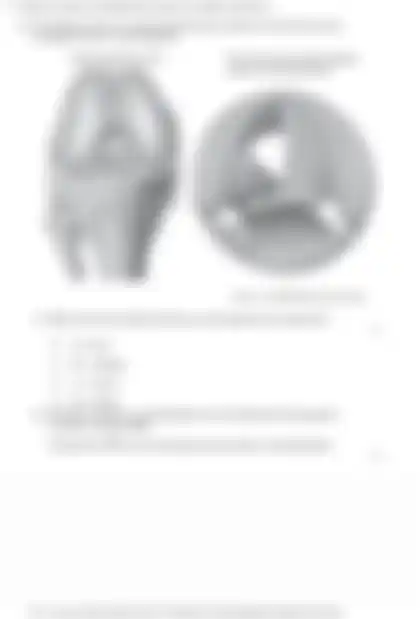 Blurred preview of the question