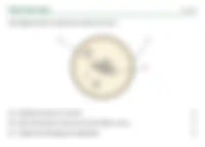Blurred preview of the question