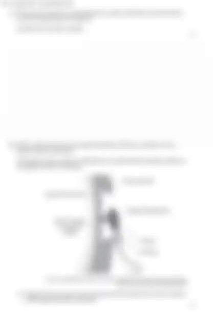 Blurred preview of the question