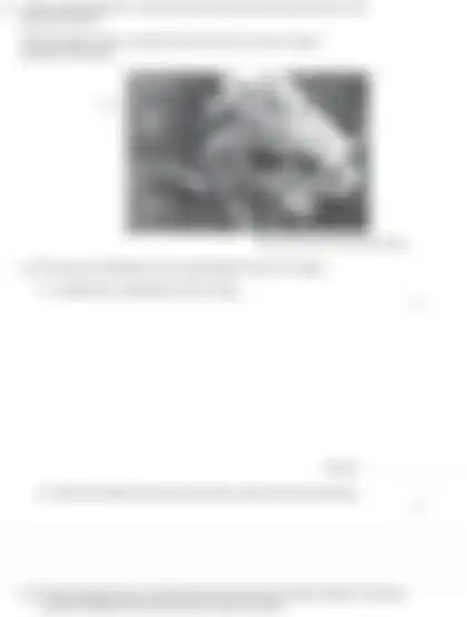 Blurred preview of the question