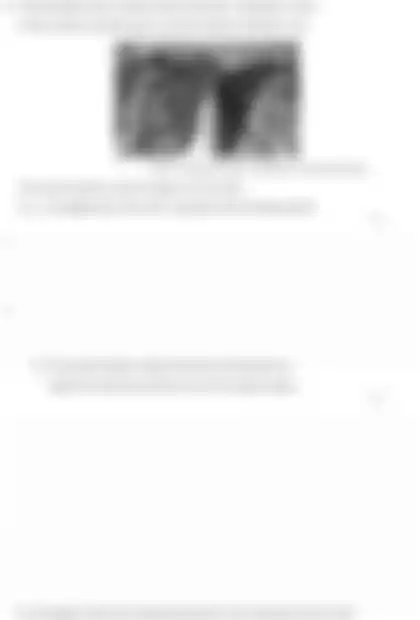 Blurred preview of the question