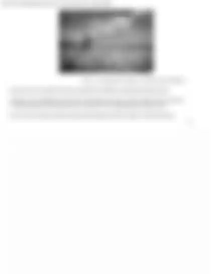 Blurred preview of the question