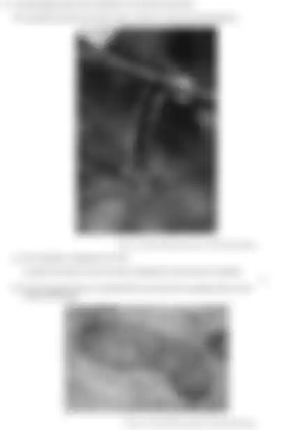 Blurred preview of the question