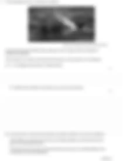 Blurred preview of the question