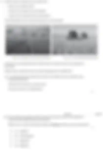 Blurred preview of the question