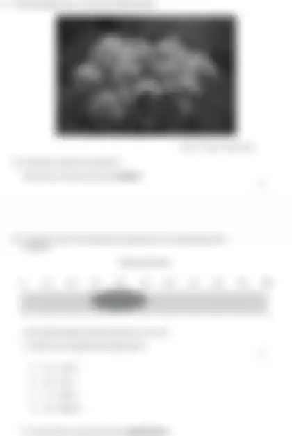 Blurred preview of the question
