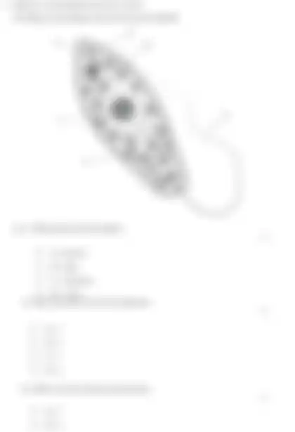 Blurred preview of the question