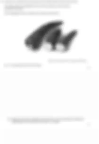 Blurred preview of the question