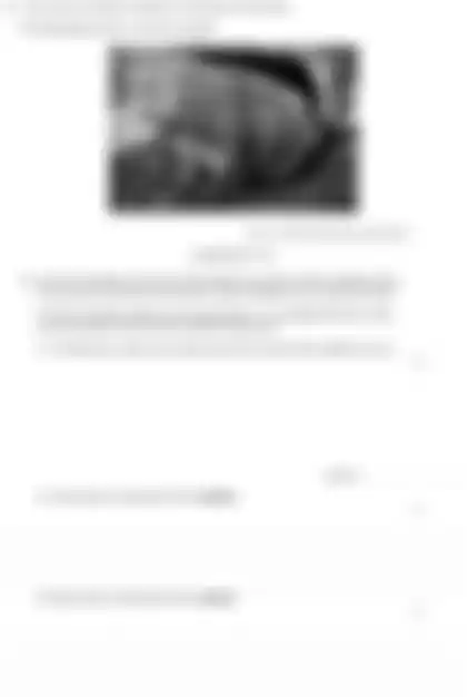 Blurred preview of the question
