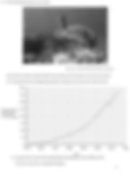 Blurred preview of the question