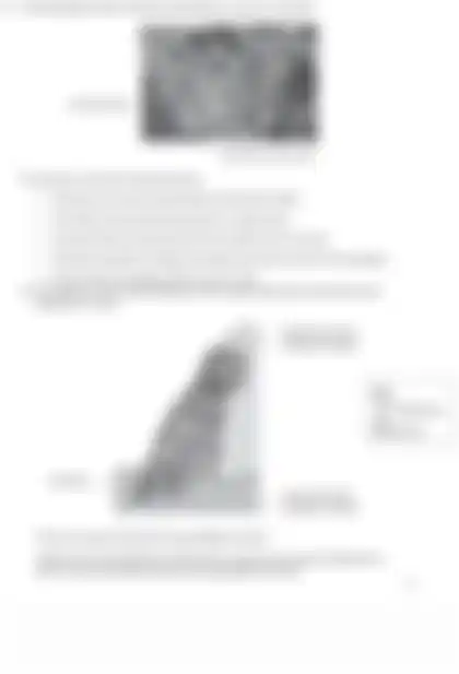 Blurred preview of the question