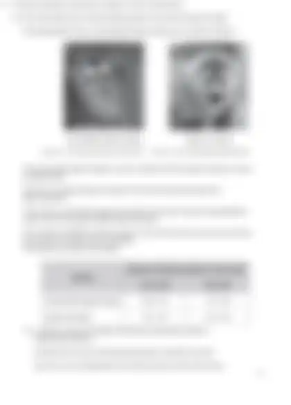 Blurred preview of the question