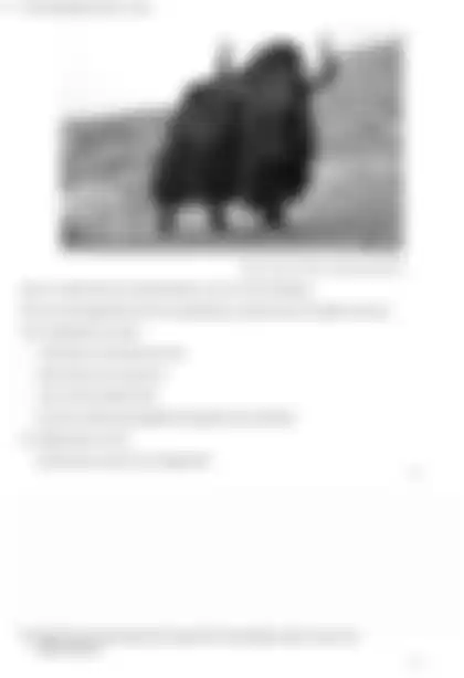 Blurred preview of the question