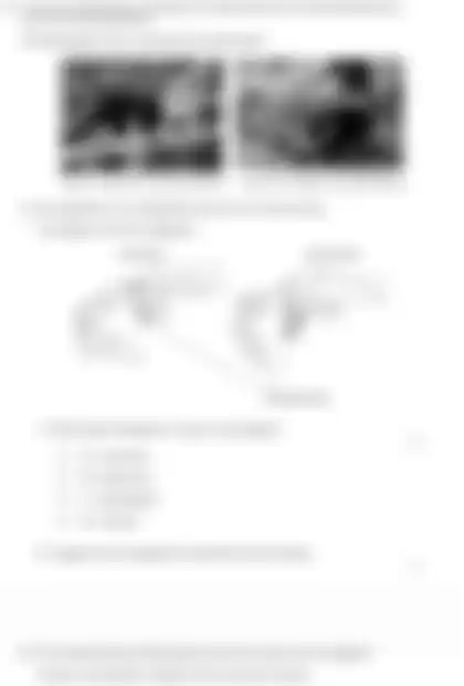 Blurred preview of the question