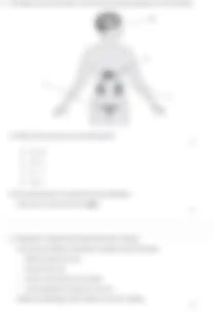 Blurred preview of the question