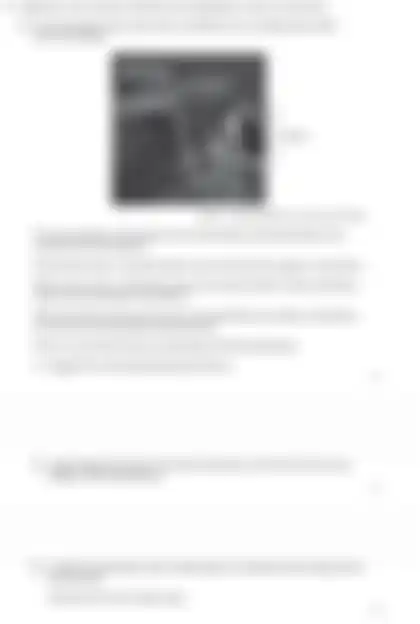 Blurred preview of the question