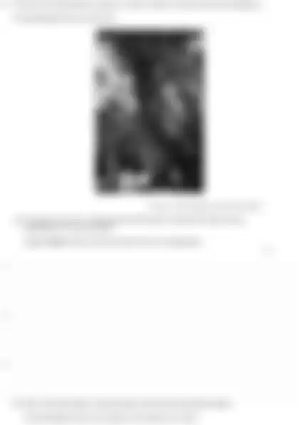 Blurred preview of the question