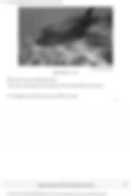 Blurred preview of the question