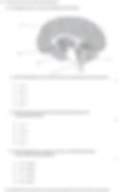 Blurred preview of the question