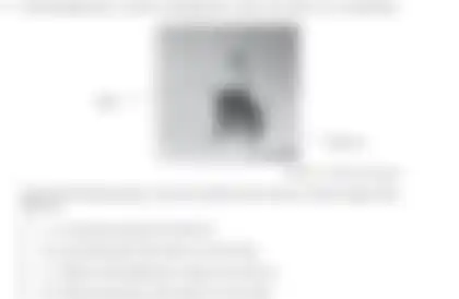 Blurred preview of the question