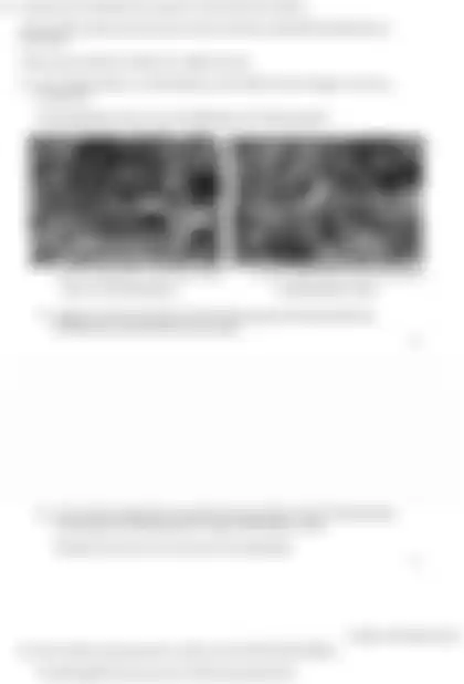 Blurred preview of the question