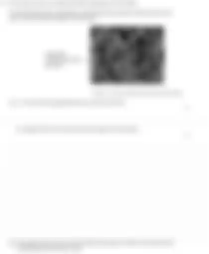 Blurred preview of the question