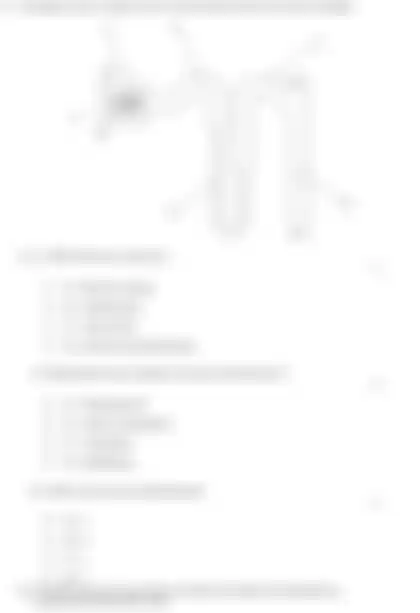 Blurred preview of the question