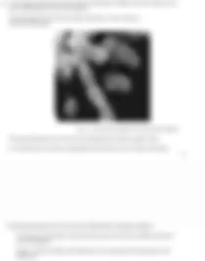 Blurred preview of the question
