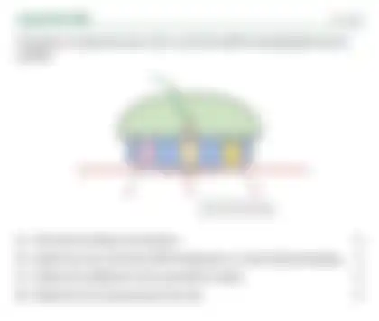 Blurred preview of the question