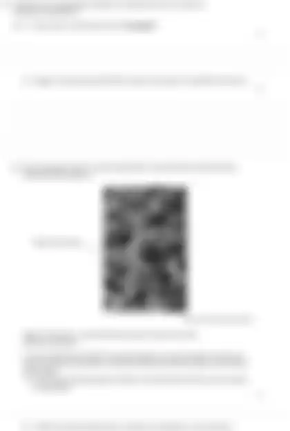 Blurred preview of the question