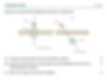 Blurred preview of the question