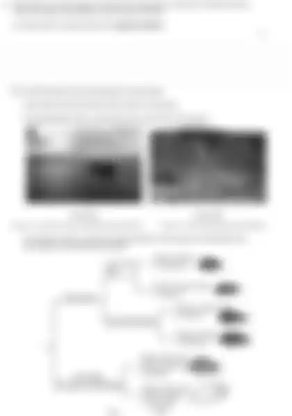 Blurred preview of the question
