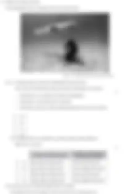 Blurred preview of the question