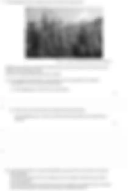 Blurred preview of the question