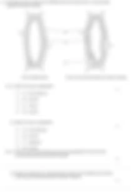 Blurred preview of the question