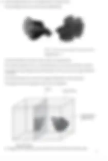 Blurred preview of the question