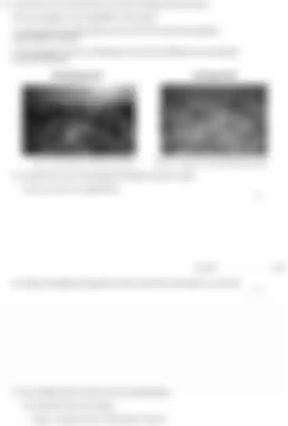 Blurred preview of the question