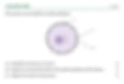 Blurred preview of the question