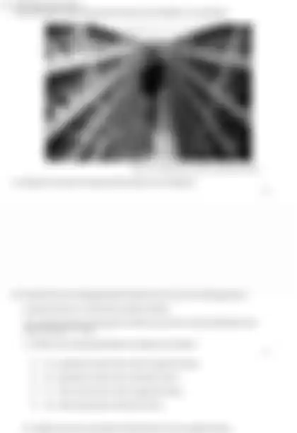 Blurred preview of the question
