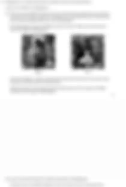 Blurred preview of the question